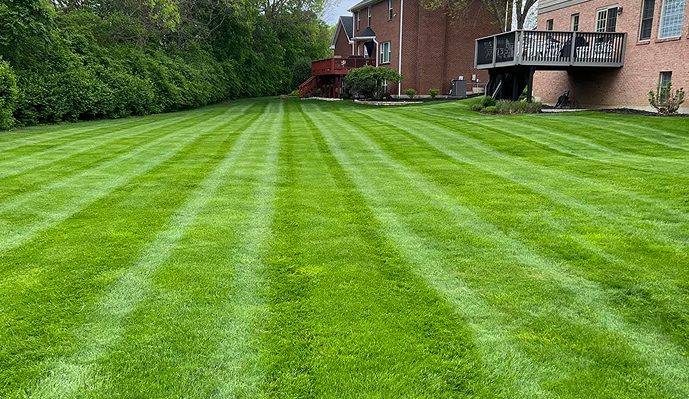 Best Time to Aerate Your Lawn in Southwest Ohio